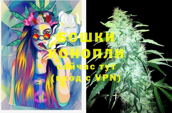 мет Касимов