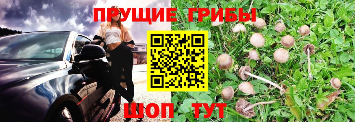 Галлюциногенные грибы ЛСД  Псилоцибиновые грибы Psilocybine cubensis  Вход с VPN  Краснознаменск 