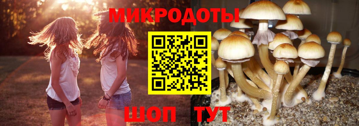 Галлюциногенные грибы мицелий Краснознаменск